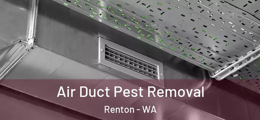 Air Duct Pest Removal Renton - WA