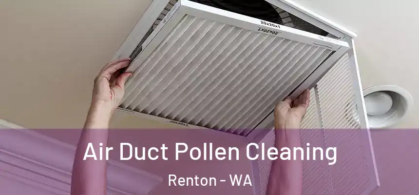 Air Duct Pollen Cleaning Renton - WA