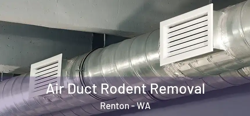 Air Duct Rodent Removal Renton - WA