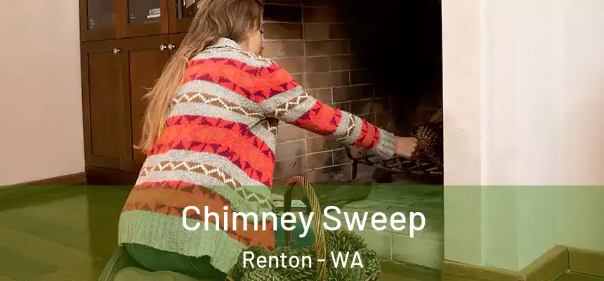 Chimney Sweep Renton - WA