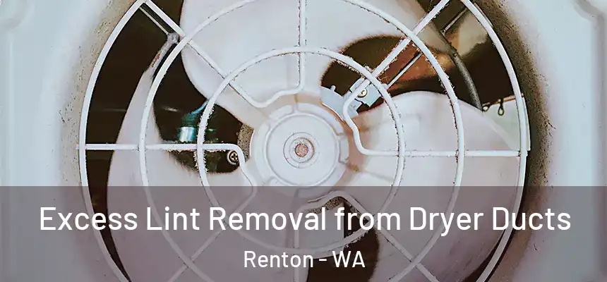 Excess Lint Removal from Dryer Ducts Renton - WA