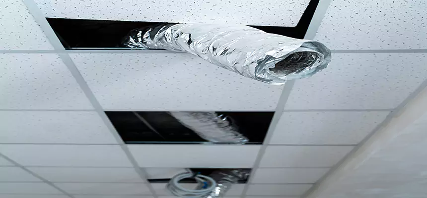 Our Air Duct Pet Hair Removal Services in Renton, WA