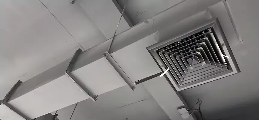 Our Rodent Droppings In Vents Services in Renton, WA