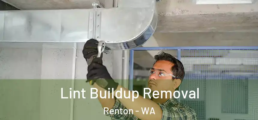  Lint Buildup Removal Renton - WA