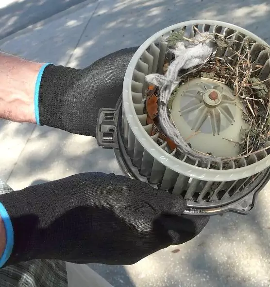 About Air Duct Rat Removal in Renton, WA