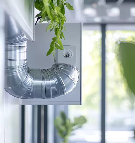 Professional Eco-Friendly Duct Cleaning Services in Renton, WA
