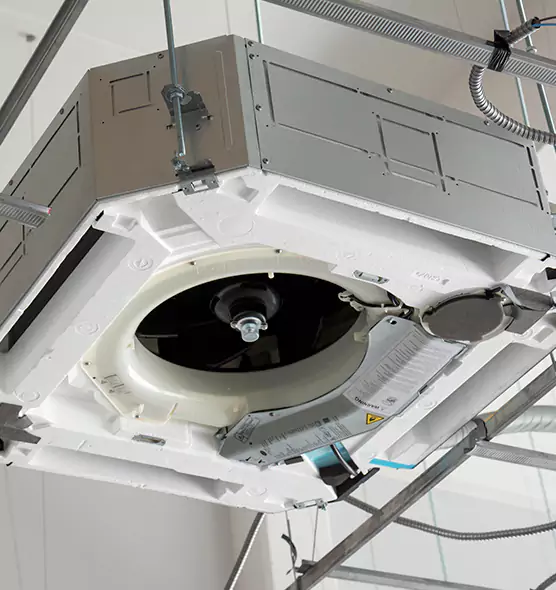 Professional Roof Vent Lint Removal Renton, WA