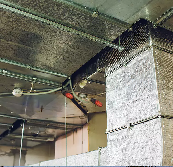 Why Homeowners & Businesses Trust Us in Renton, WA?