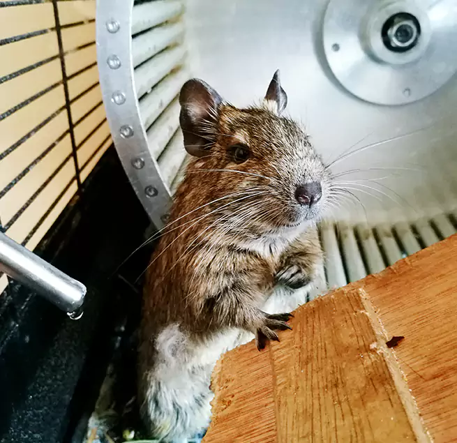 Why Homeowners & Businesses Trust Us Renton, WA?