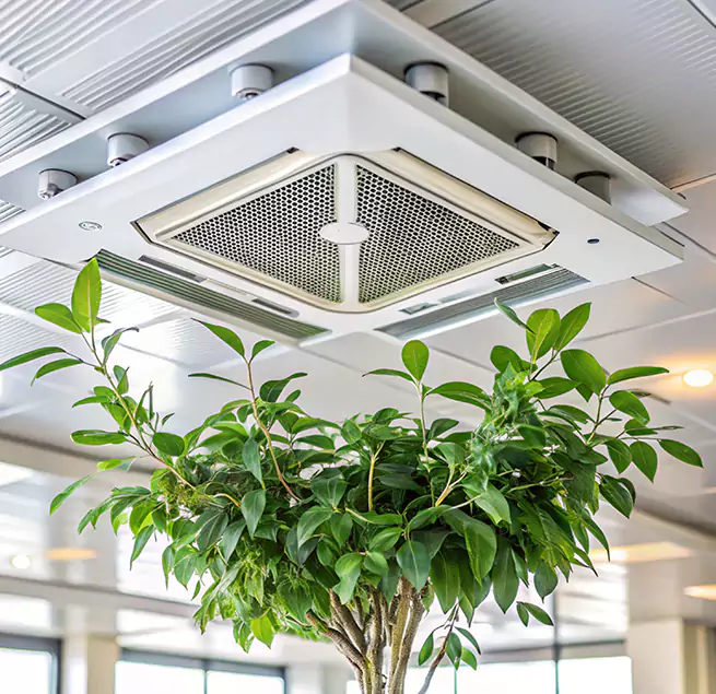 Why Homeowners & Businesses Trust Us in Renton, WA?