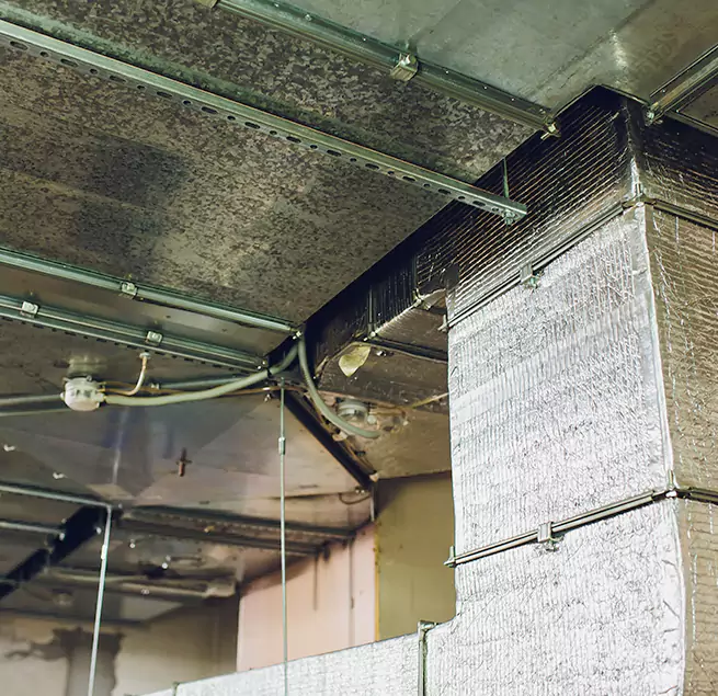 Why Homeowners & Businesses Trust Us in Renton, WA?